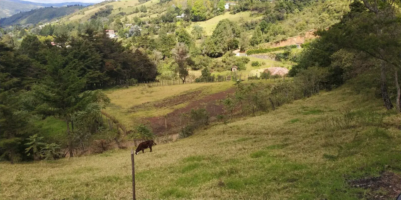 Vista del terreno, lado este