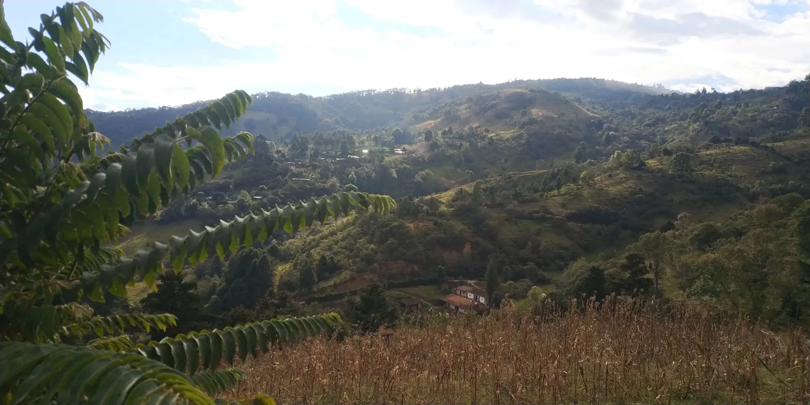 Vista del terreno, lado sur