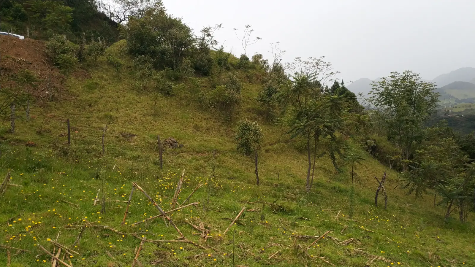 Vista del terreno, lado oeste