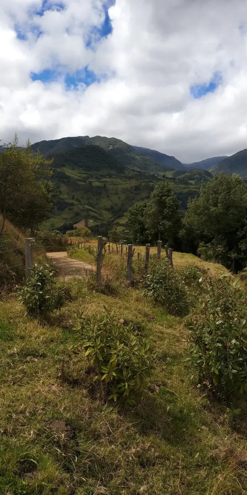 Vista del terreno, lado norte